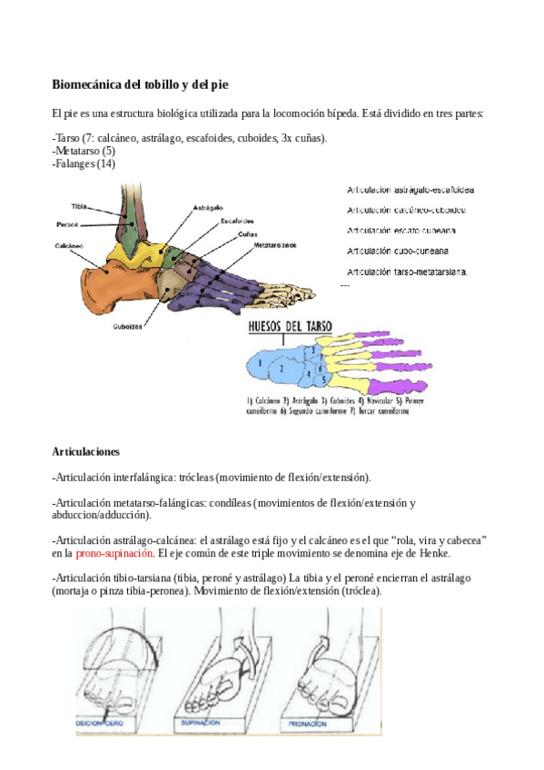 Miniatura del documento tema0.pdf