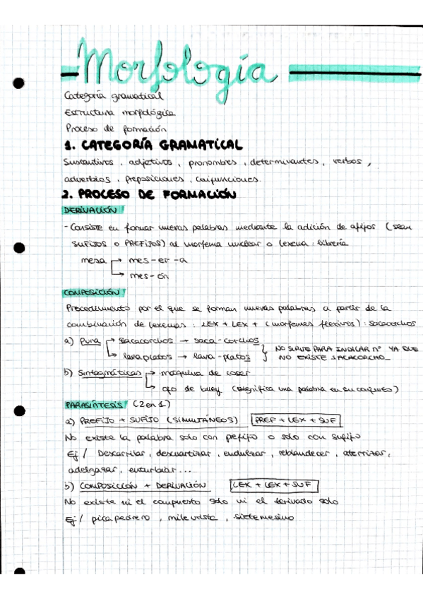 Miniatura del documento MORFOLOGIA.pdf