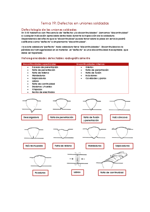 Miniatura del documento Tema-19.pdf