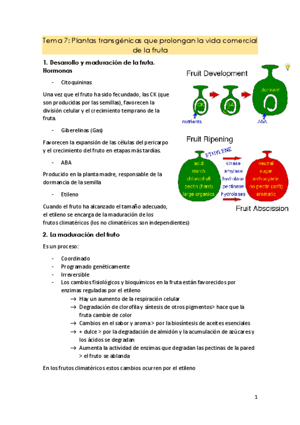 Miniatura del documento Tema-7.pdf