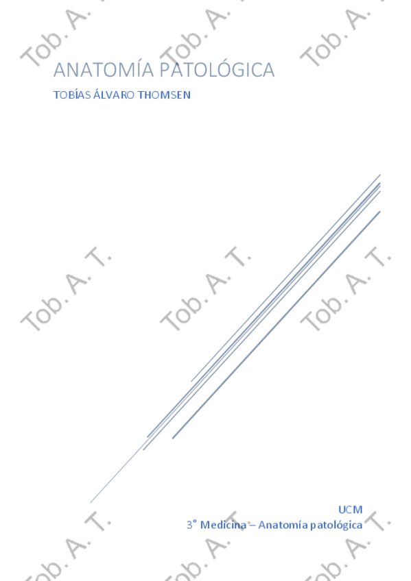 Miniatura del documento AP-WUOLAH.pdf