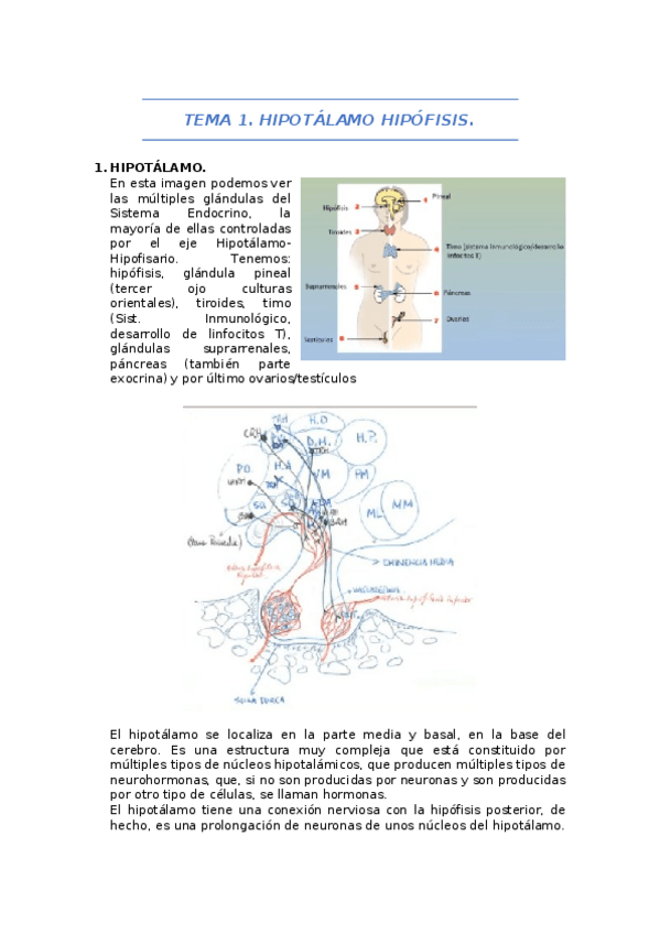 Miniatura del documento SIST.docx