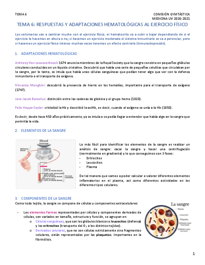 Miniatura del documento TEMA-6-2.pdf