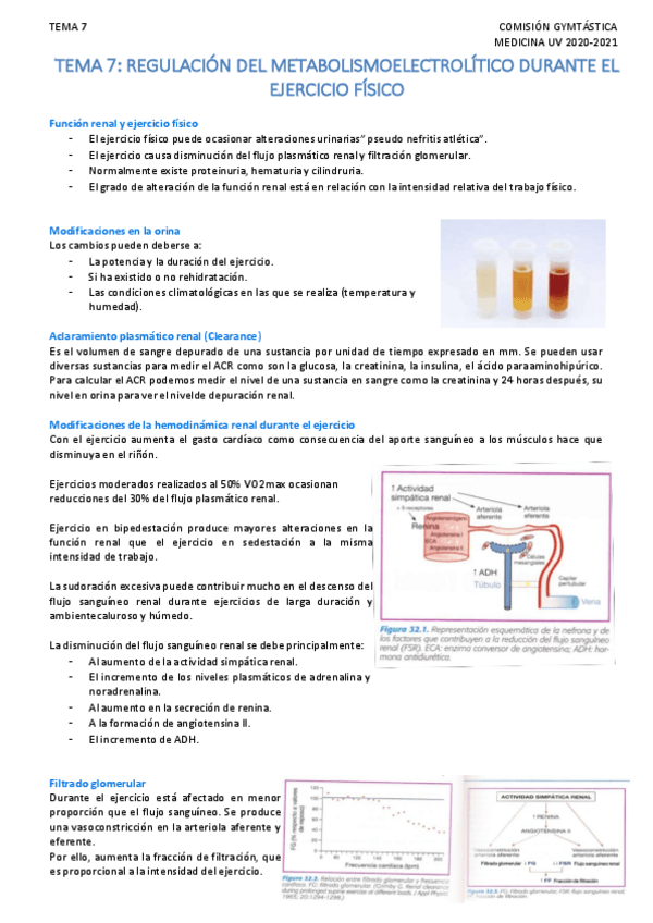 Miniatura del documento FDTema-7-Regulacion-del-metabolismo-electrolitico-durante-el-ejercicio-fisico.pdf