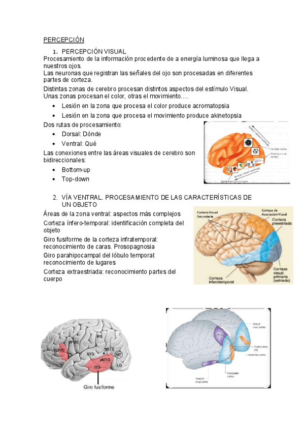 Miniatura del documento Tema-2.pdf