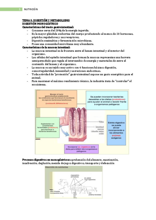 Miniatura del documento Tema-5.pdf