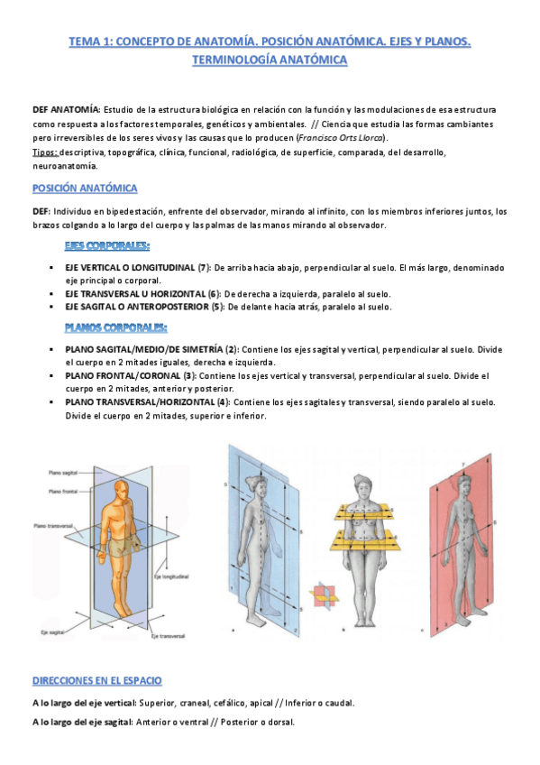 Miniatura del documento TODOS-LOS-TEMAS-ANATOMIA.pdf