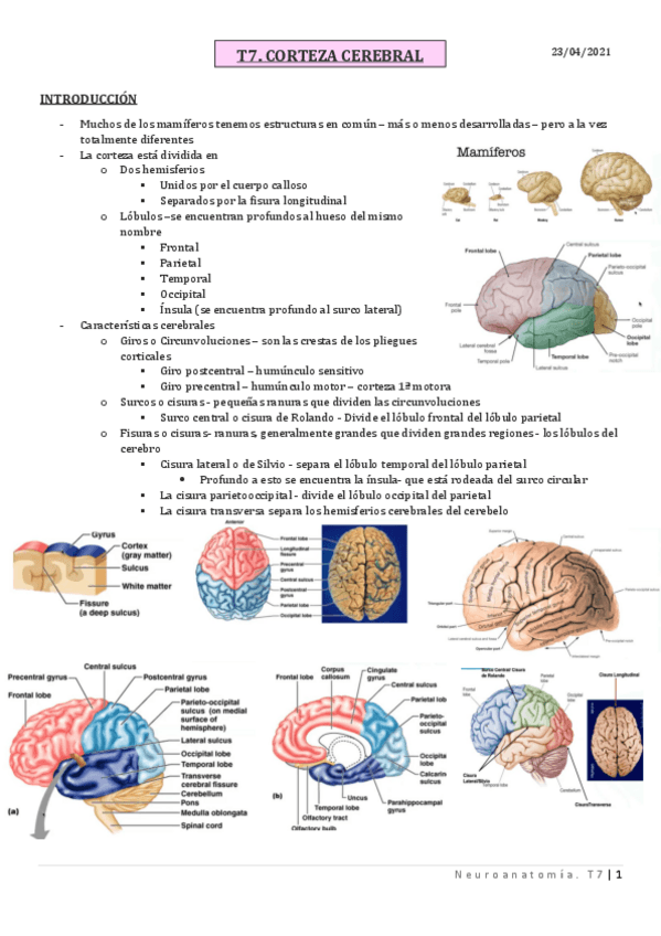 Miniatura del documento T7.pdf