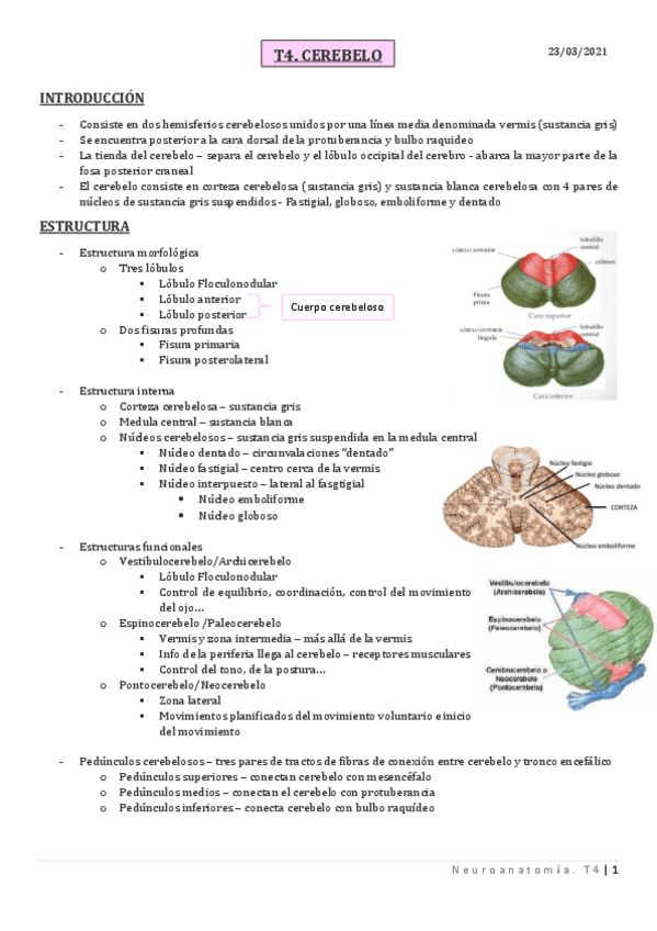 Miniatura del documento T4.pdf