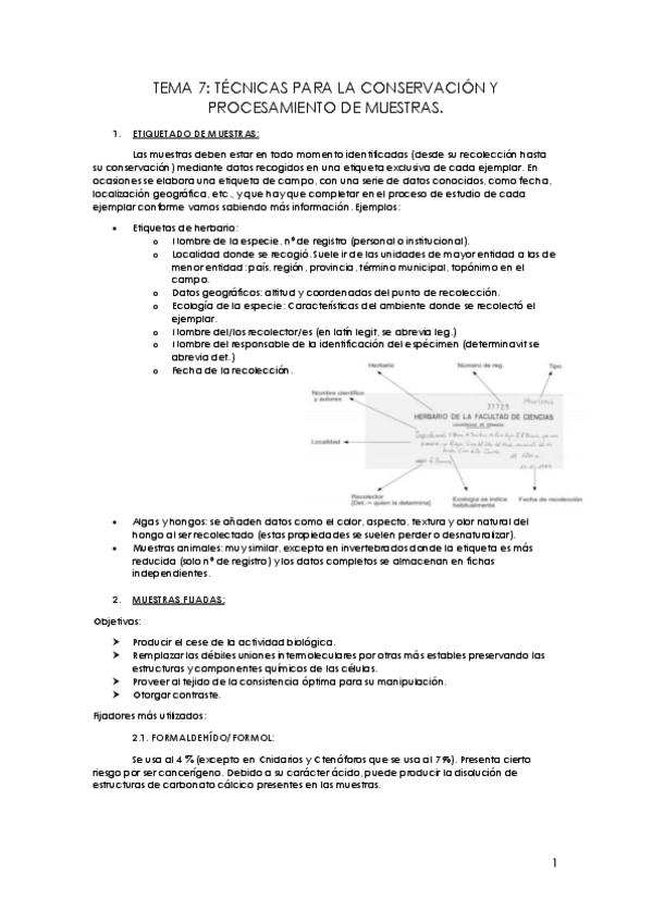 Miniatura del documento TEMA-7.pdf