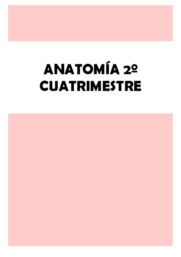 Miniatura del documento Anatomia-2o-cuatri.pdf