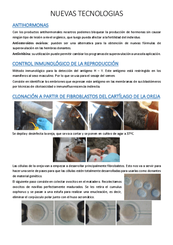 Miniatura del documento 34.pdf