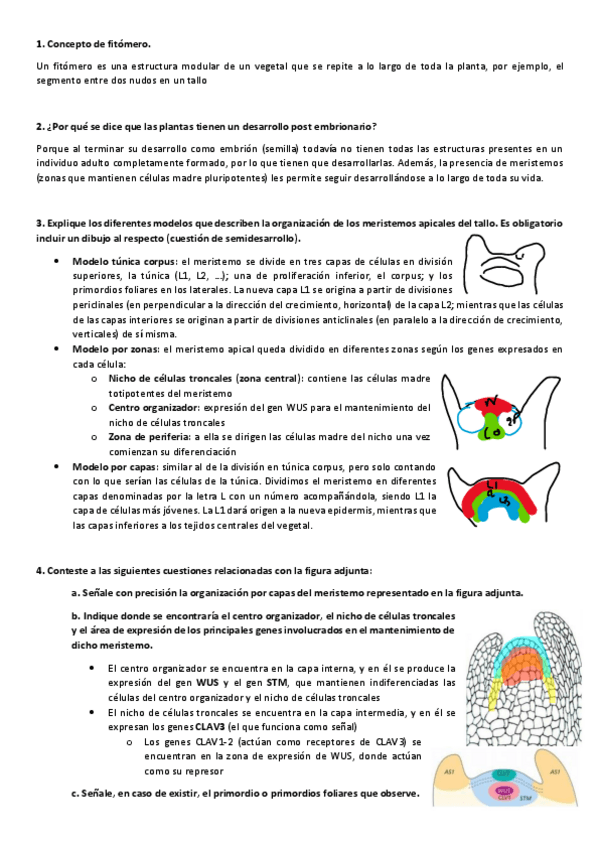 Miniatura del documento Preguntas-FV2.pdf