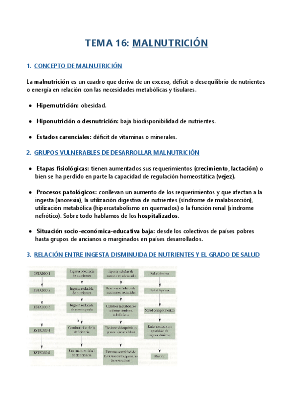 Miniatura del documento TEMA-16.pdf