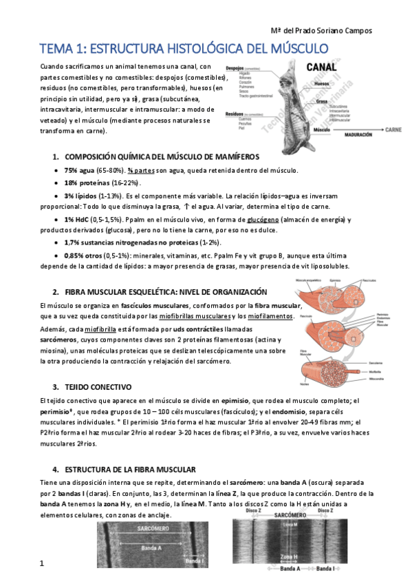 Miniatura del documento temas-1-a-18-2021.pdf