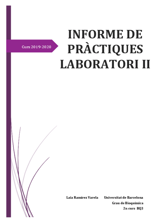 Miniatura del documento INFORME-LAIA.pdf