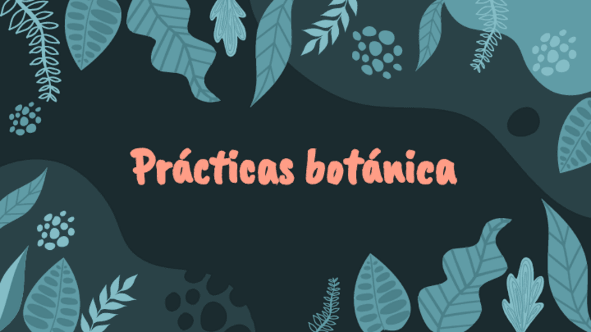 Miniatura del documento Practicas-botanica-2o-parcial.pdf