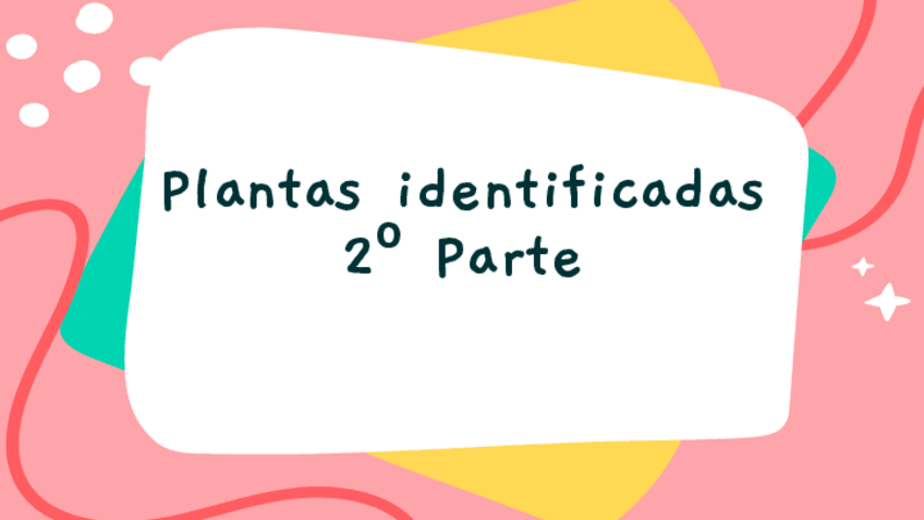 Miniatura del documento Plantas-identificadas-2o-parte.pdf