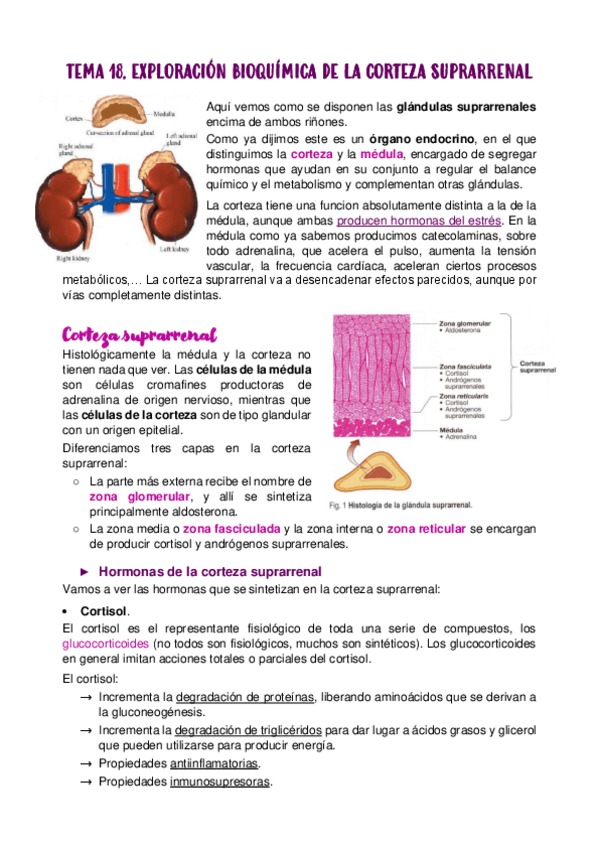 Miniatura del documento TEMA-18.pdf