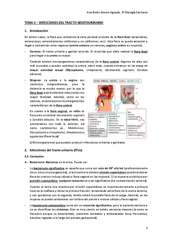 Miniatura del documento TEMA-2-INFECCIONES-DEL-TRACTO-GENITOURINARIO.pdf