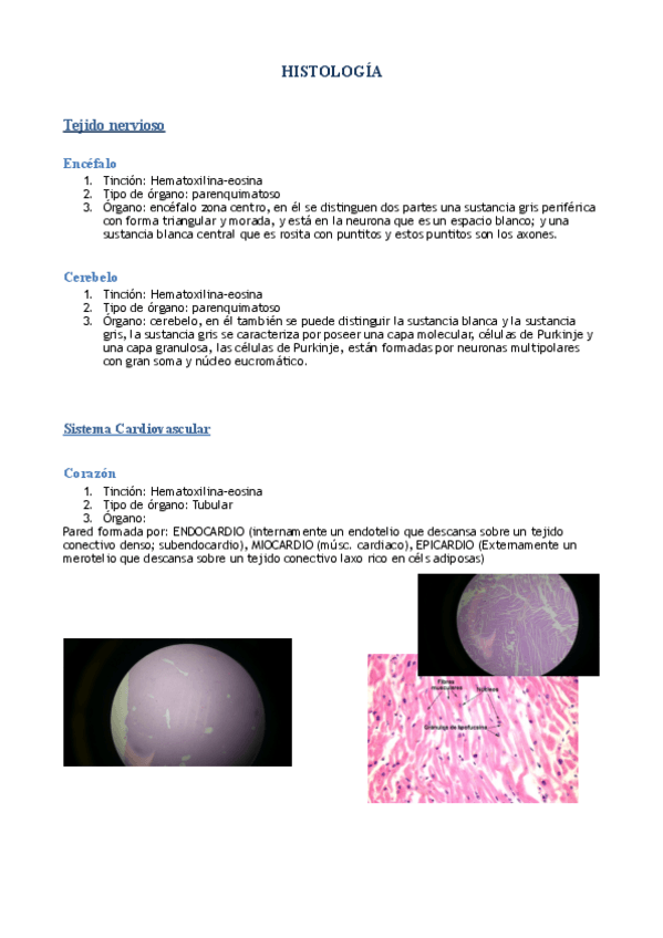 Miniatura del documento Resumen-Histologia.pdf