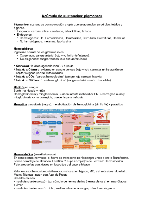 Miniatura del documento CM-Pigmentos.pdf
