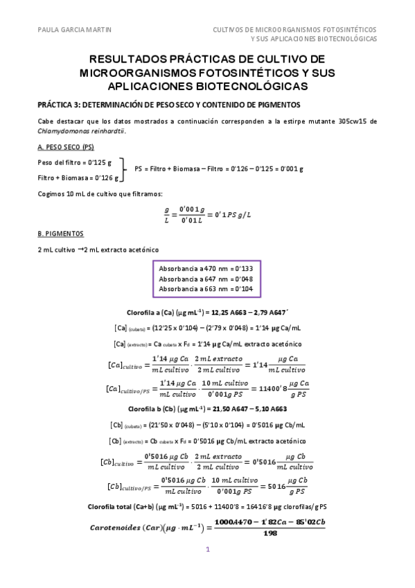 Miniatura del documento Informe-practicas.pdf
