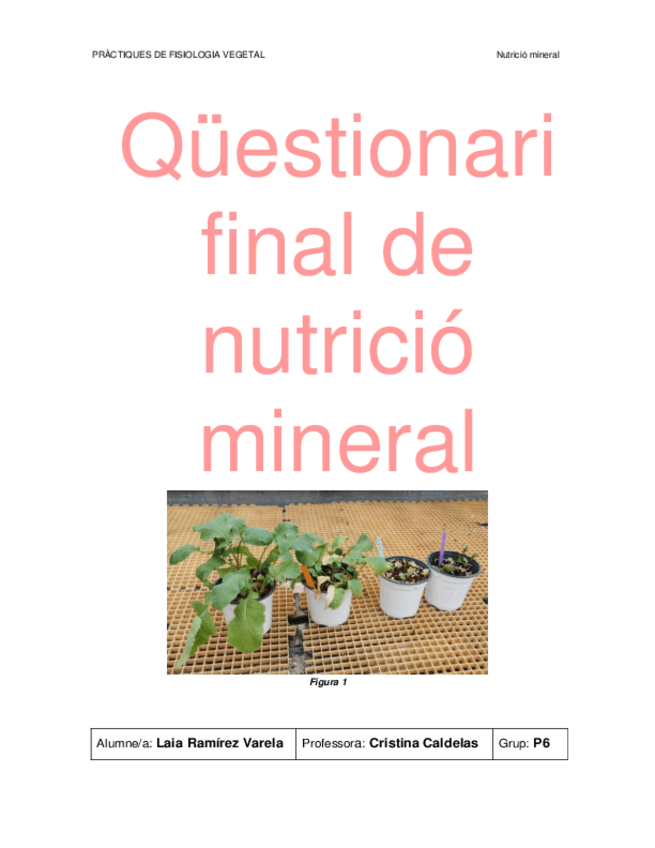 Miniatura del documento Informe-Laia-nutricio.pdf