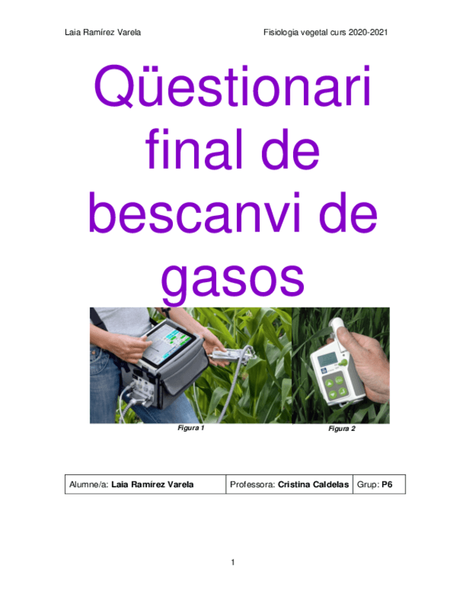 Miniatura del documento QuestionariLaia202021.pdf