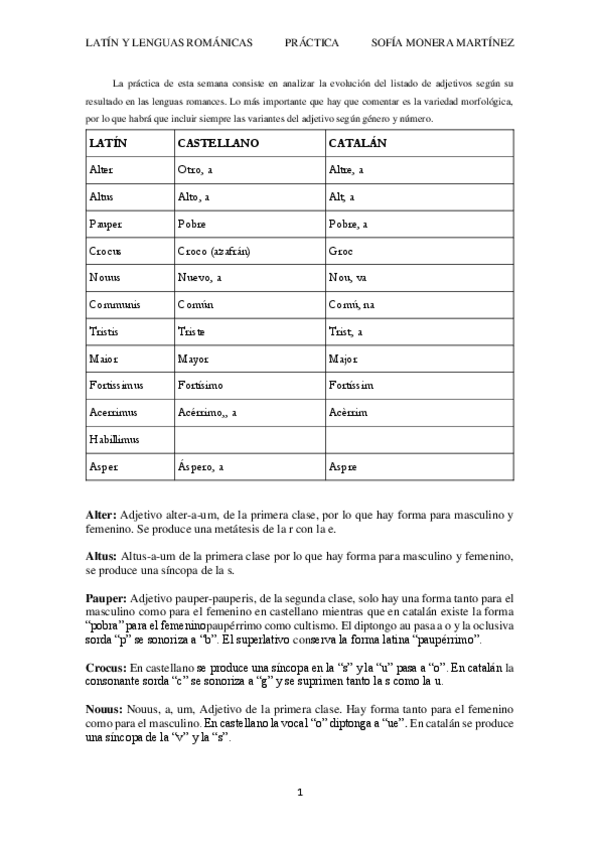Miniatura del documento Practica-analisis-de-evolucion-de-adjetivos.pdf