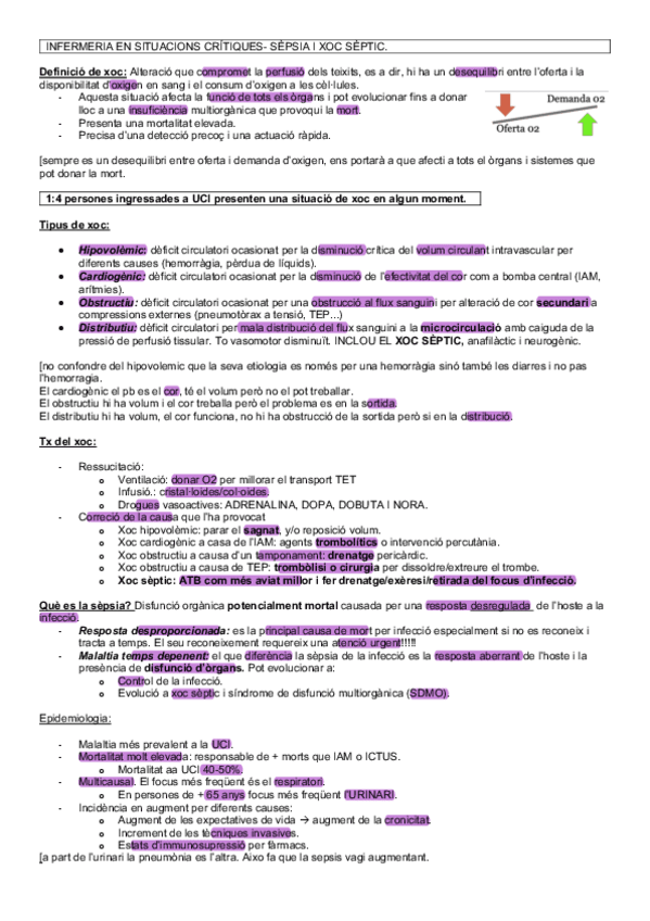 Miniatura del documento APUNTES-CRITICOS-HASTA-5-MAYO-.pdf