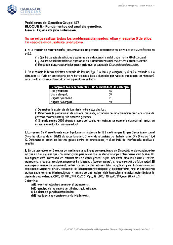 Miniatura del documento TEMA-4-PROBLEMAS-RESUELTOS.pdf