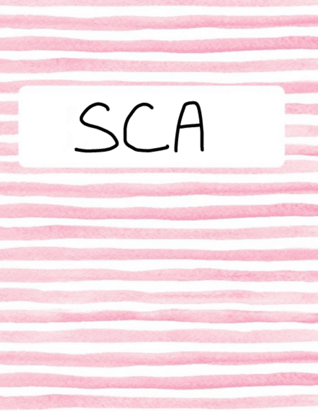 Miniatura del documento SCA-20-21.pdf