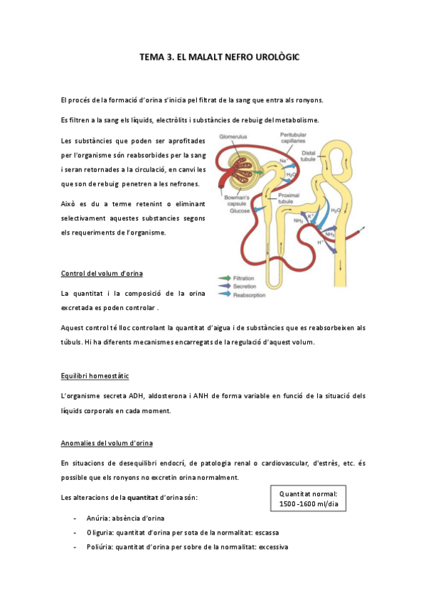 Miniatura del documento PACIENT-UROLOGIC.pdf