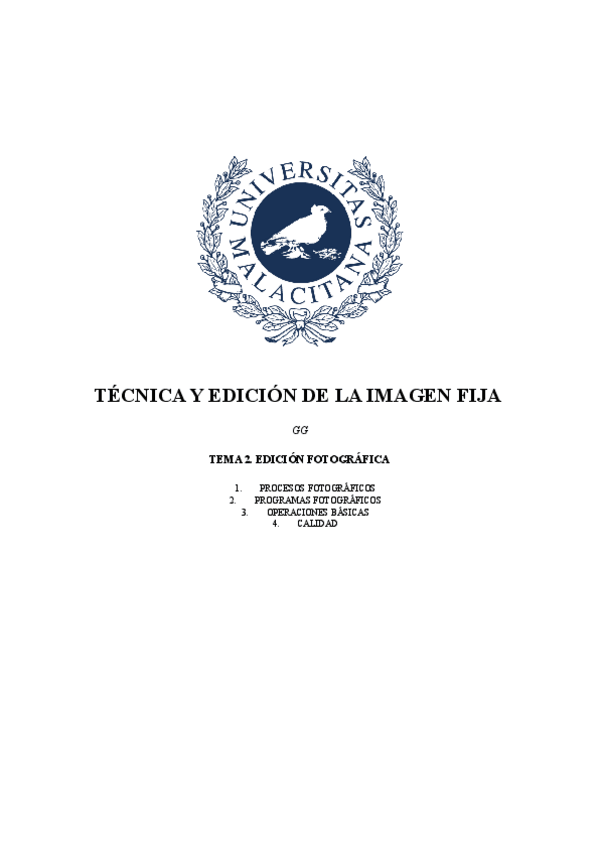 Miniatura del documento T2-TYEIF-GG.pdf