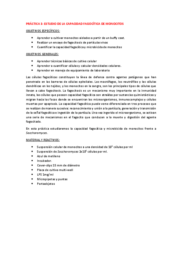 Miniatura del documento Practica-3.pdf