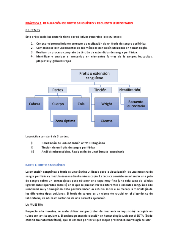 Miniatura del documento Practica-1.pdf