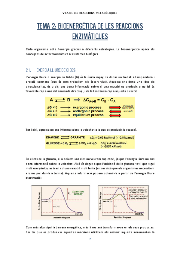 Miniatura del documento Tema-2.pdf