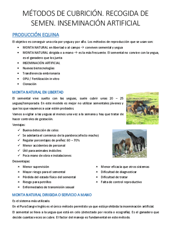 Miniatura del documento SM-6.pdf