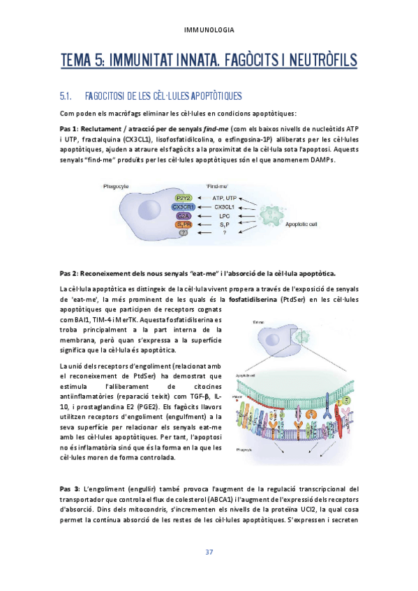 Miniatura del documento Tema-5.pdf