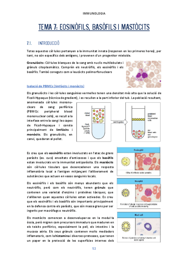 Miniatura del documento Tema-7.pdf