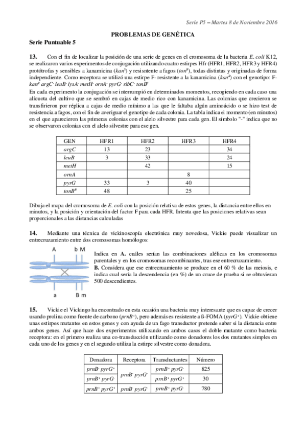 Miniatura del documento serie P5 16-17 resueltaaaaaaaa.pdf