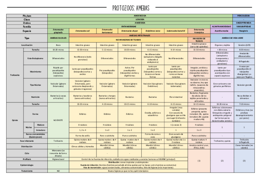 Miniatura del documento CUADRO-RESUMEN-AMEBAS.pdf