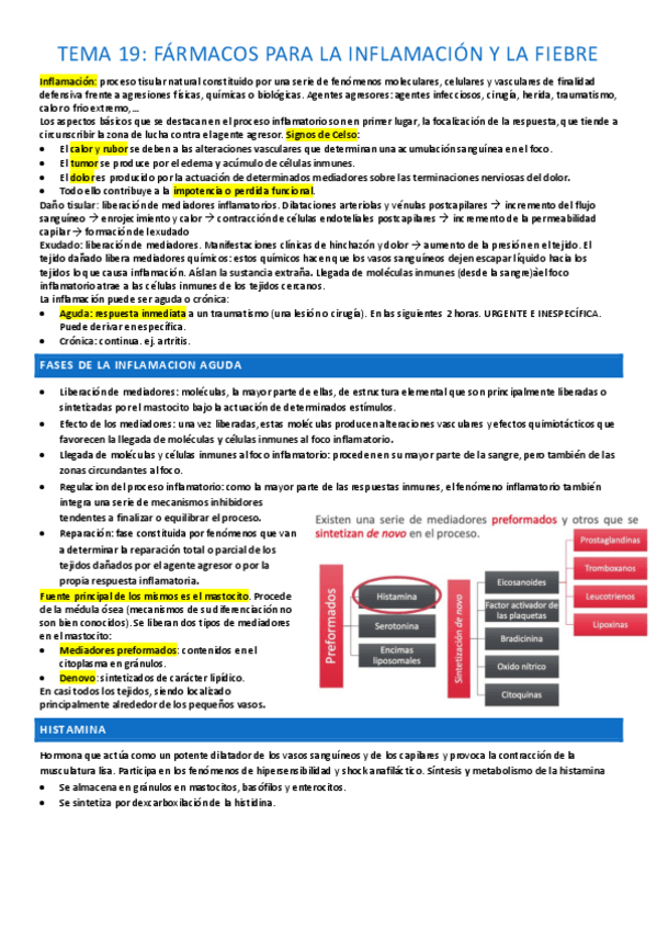 Miniatura del documento TEMA-19-completo.pdf