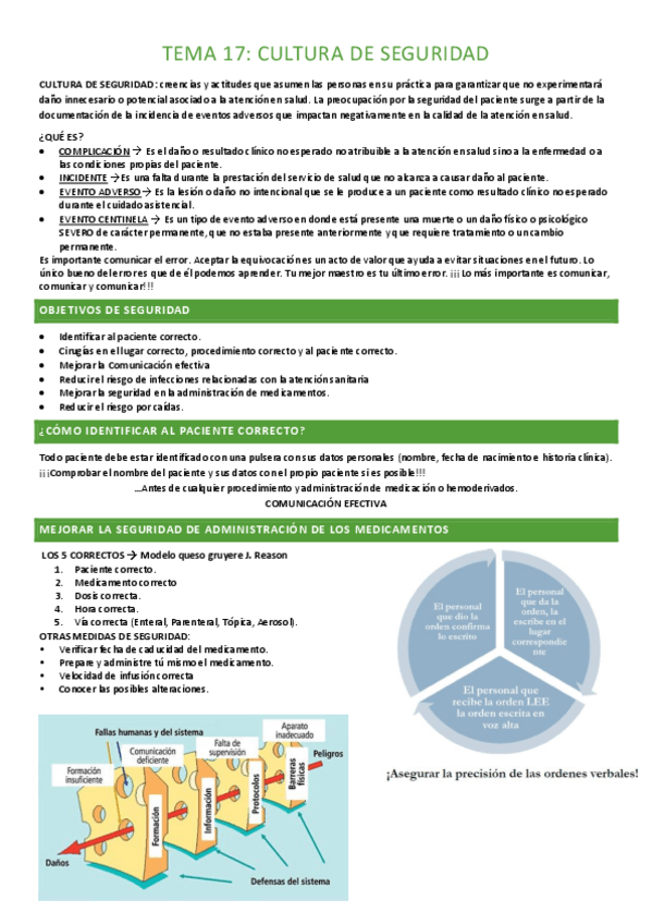 Miniatura del documento TEMA-17-completo.pdf