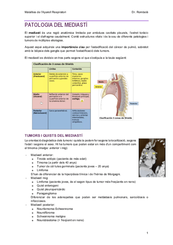 Miniatura del documento 12-Mediasti-Pneumotorax.pdf