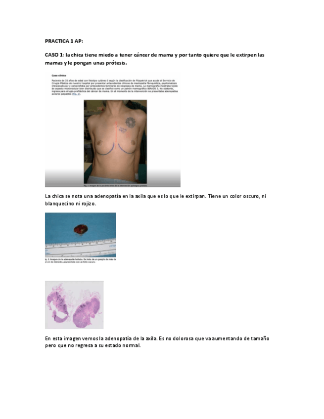 Miniatura del documento practica1-ap.pdf