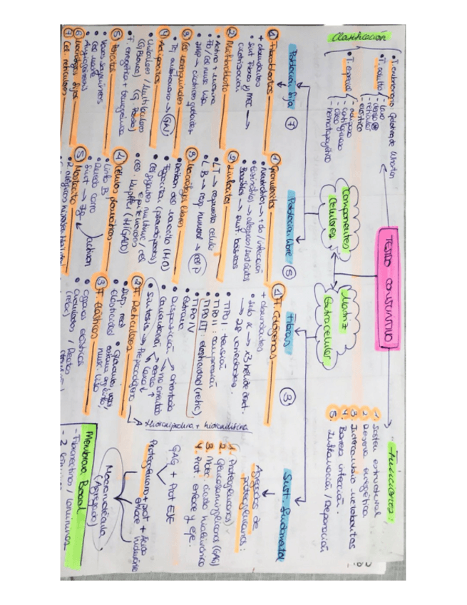 Miniatura del documento ESQUEMAS-HISTO.pdf