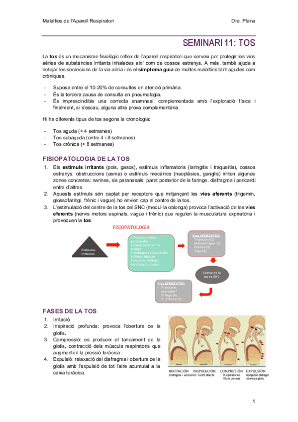 Miniatura del documento S11-Tos.pdf