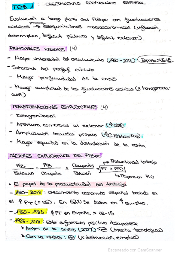 Miniatura del documento resumen-temas-a-mano.pdf